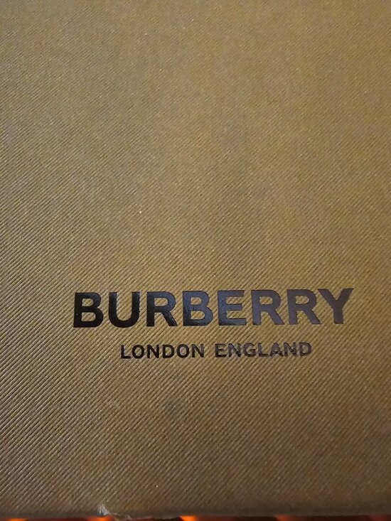Burberry Sunglasses (Tamsin BE4366) main image 6